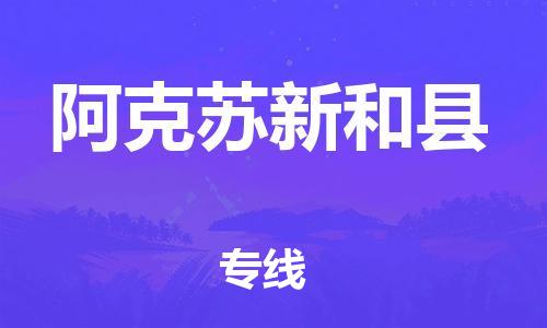 天津到阿克苏新和县物流专线-天津到阿克苏新和县货运公司-