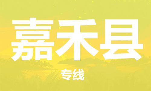 天津到嘉禾县物流公司|天津到嘉禾县物流专线|天津到嘉禾县货运专线