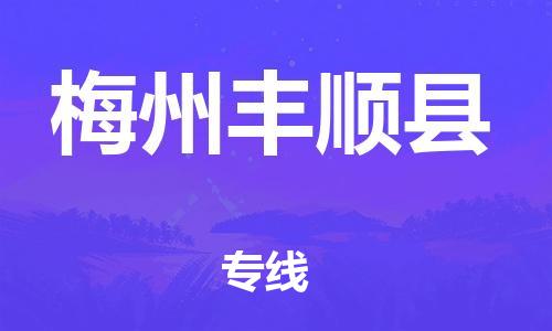 天津到梅州丰顺县搬家公司-冰箱空调家具包裹-天津到梅州丰顺县长途搬家公司