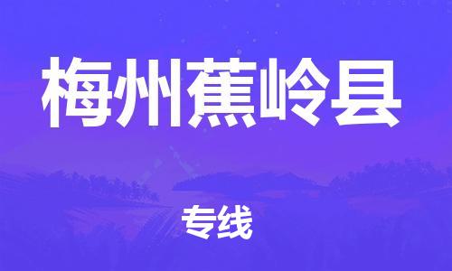 天津到梅州蕉岭县物流专线-天津到梅州蕉岭县货运公司-