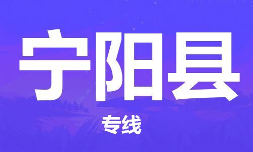 天津到宁阳县物流公司|天津到宁阳县物流专线|天津到宁阳县货运专线