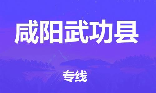 天津到咸阳武功县物流专线-天津到咸阳武功县货运公司-