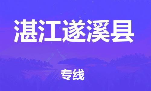 天津到湛江遂溪县物流专线-天津到湛江遂溪县货运公司-