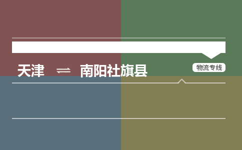 天津到南阳社旗县物流专线-天津到南阳社旗县货运公司-