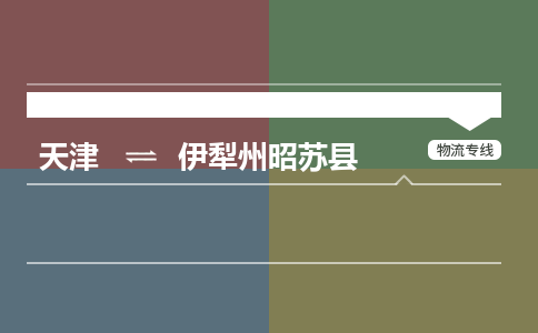 天津到伊犁州昭苏县物流专线-伊犁州昭苏县到天津货运公司-医疗器械运输专线