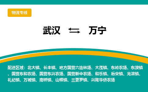 武汉至万宁物流公司|武汉到万宁货运专线