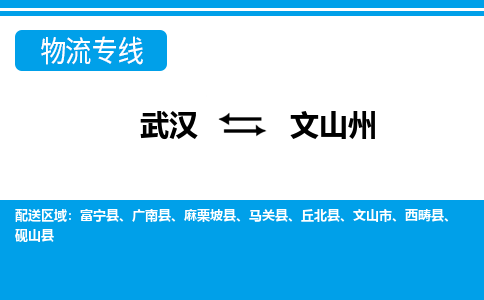 武汉至文山州物流公司|武汉到文山州货运专线