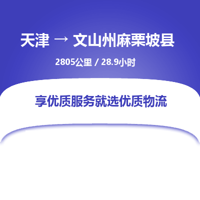 天津到文山州麻栗坡县物流专线-天津到文山州麻栗坡县货运公司-